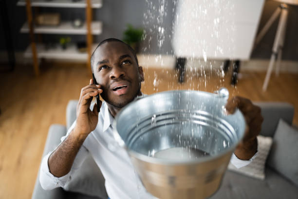 Best Water damage cleanup near me  in Greenville, VA