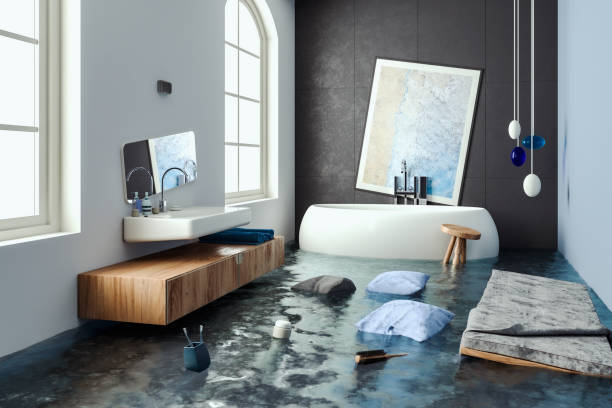 Best 24/7 water damage repair  in Greenville, VA