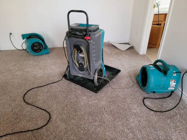 Best Sewage cleanup and water damage restoration  in Greenville, VA