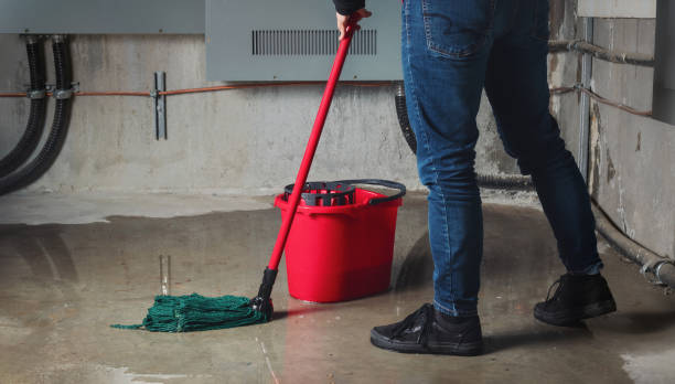  Greenville, VA Water damage restoration Pros