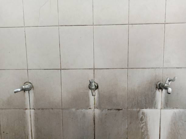 Best Emergency water damage restoration  in Greenville, VA