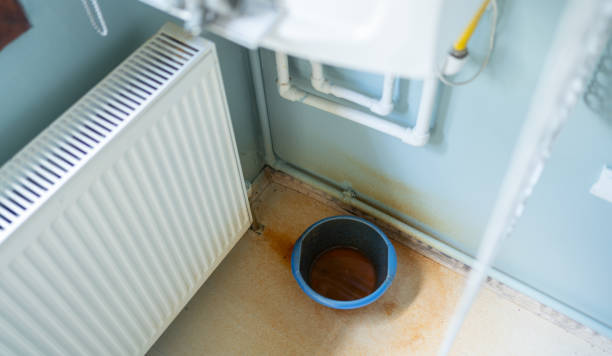 Best Mold removal after water damage  in Greenville, VA