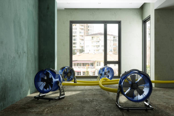 Best Emergency water damage restoration  in Greenville, VA
